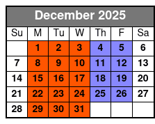 Stand-Up Paddle Board Lesson 1 on 1 diciembre Schedule
