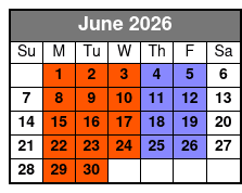 Stand-Up Paddle Board Lesson 1 on 1 junio Schedule
