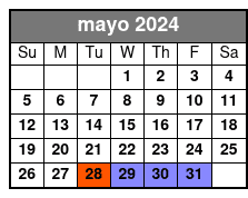 1 Hour Mini Powerboat Rental mayo Schedule