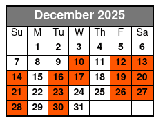 Miami/Fort Lauderdale: Bimini Bahamas Day Trip by Ferry diciembre Schedule