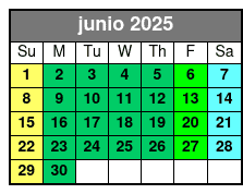 Breaking Point Escape Room junio Schedule