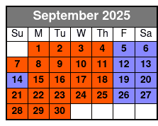 The Magic Saloon Immersive Experience and Show Ticket septiembre Schedule