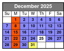 The Magic Saloon Immersive Experience and Show Ticket diciembre Schedule