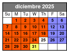 Magic Saloon - General Admission diciembre Schedule