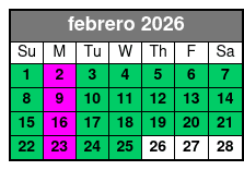 Magic Saloon - VIP Experience febrero Schedule
