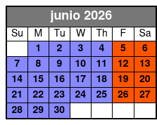 Magic Saloon - VIP Experience June Schedule