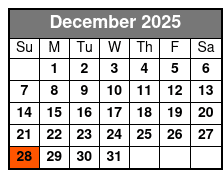 San Antonio Alamo Helicopter Tours diciembre Schedule