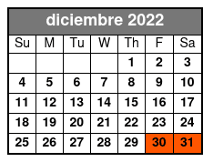 San Antonio Explorer Pass: 4-Choice Pass diciembre Schedule
