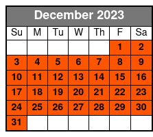 Witte Museum diciembre Schedule