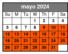 San Antonio Grand Historic Half Day Tour mayo Schedule