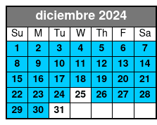 Summit 2024 diciembre Schedule