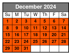 Times Square Photoshoot diciembre Schedule