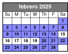 Standard(10 Pro Edited Photos) febrero Schedule