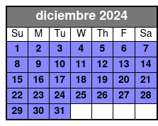 Premium (25 Pro Edited Photos) diciembre Schedule