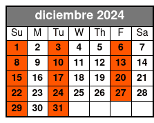 2024 Boston diciembre Schedule