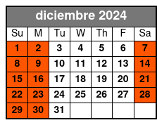 Spanish diciembre Schedule