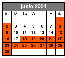 1 Hour Single Jet Ski junio Schedule