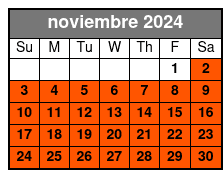 Option 1 noviembre Schedule