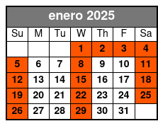 Option 1 enero Schedule