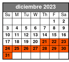 Extended Tour diciembre Schedule