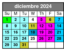 Option diciembre Schedule