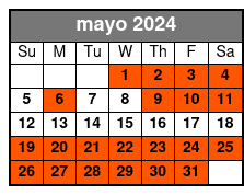 Afternoon 13:00 mayo Schedule