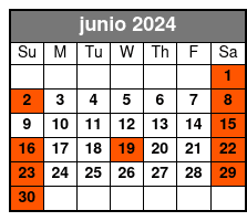 Afternoon 13:00 junio Schedule