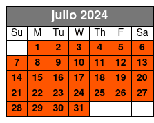 Fully Guided (no 911 Museum) julio Schedule