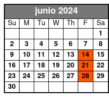 Brooklyn Revolution junio Schedule