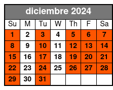 Met Express diciembre Schedule