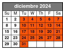 Acupuncture diciembre Schedule