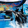 SeaWorld San Antonio Vacation Package