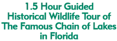 1.5 Hour Guided Historical Wildlife Tour of The Famous Chain of Lakes in Florida 2024 Horario