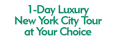 1-Day Luxury New York City Tour at Your Choice