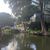 The image shows a tranquil riverside setting with lush trees, a small bridge in the background, and a part of a person looking towards the water, reflecting the serene surroundings.