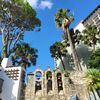 An urban scene featuring palm trees, a stone wall with decorative arches, a white building with balconies, and a high-rise in the background, under a clear blue sky.