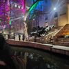 The image shows a festive riverside scene with colorful lights illuminating trees and a sculpture of longhorn cattle and riders, with people walking nearby.