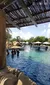 SeaWorld San Antonio swimming with dolphins