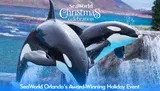 Two killer whales are leaping out of the water during a show at a Christmas-themed event at SeaWorld.