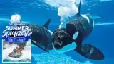 The image is a promotional advertisement showcasing orcas underwater next to an inset image of people enjoying a water ride, highlighting SeaWorld's 'Summer Spectacular' event from May 23 to August 3.