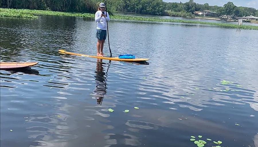 A person is standing on a paddleboard on a calm water surface, holding a paddle and using a smartphone, amidst a serene natural setting with vegetation in the distance.