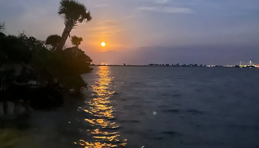 The image shows a tranquil sunset scene with the sun casting a golden reflection over the water, silhouetted by shoreline vegetation and palm trees, against a dusk sky.