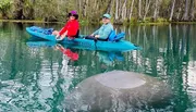 Glass Bottom Kayak Guided Tour in Silver Springs Photo