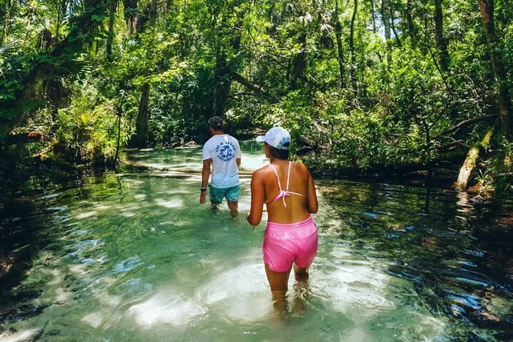 Two people are wading through a shallow clear stream in a lush green forest setting