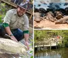 A man wearing a hat and outdoors apparel is crouching next to an albino alligator in a swampy environment smiling at the camera