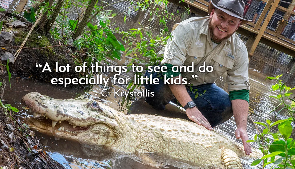 A man wearing a hat and outdoors apparel is crouching next to an albino alligator in a swampy environment smiling at the camera