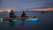 Bioluminescence Kayak Adventure Near Orlando Photo