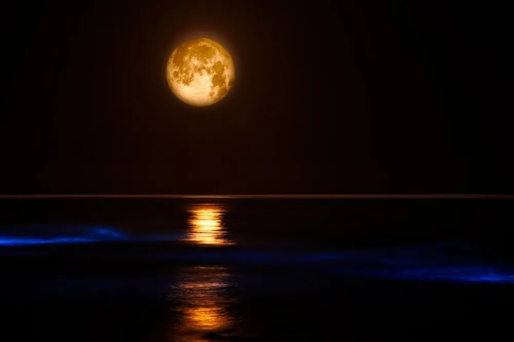 A full moon is suspended in a dark sky above a body of water reflecting its light with hints of bioluminescence tinting the waters edge