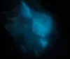 The image showcases a human hand above a surface covered with what appears to be bioluminescent fibers or organisms all illuminated in a striking blue light