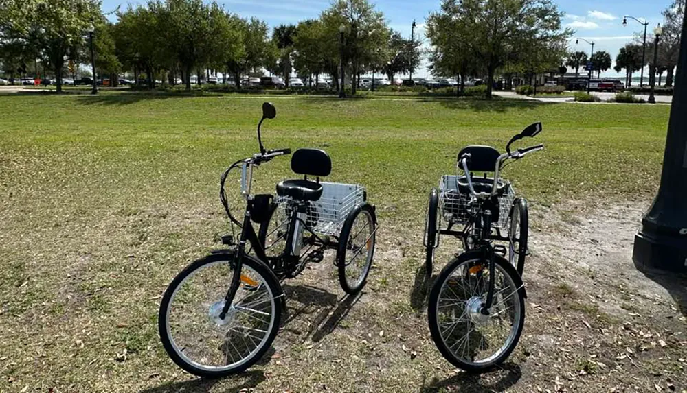 Two adult tricycles with baskets are parked on a grassy area with trees and a waterfront in the background